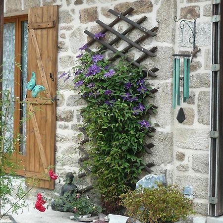 Le Petit Papillon Bed & Breakfast Eymoutiers  Ngoại thất bức ảnh